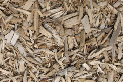 biomass boilers Cnwch Coch